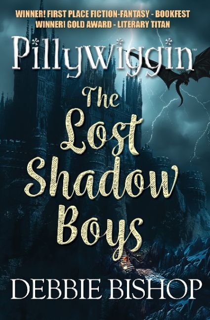 PILLYWIGGIN The Lost Shadow Boys